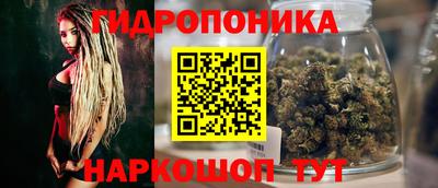 молекула духа Комсомольск-на-Амуре