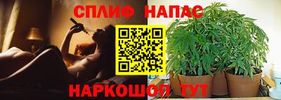 молекула духа Комсомольск-на-Амуре
