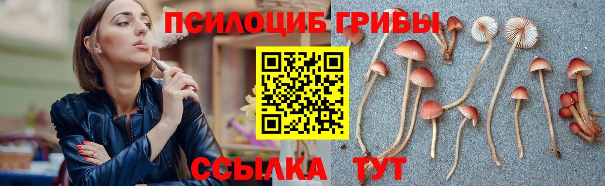 Красноармейск  Галлюциногенные грибы MAGIC MUSHROOMS  Вход с VPN  Псилоцибиновые грибы MAGIC MUSHROOMS 