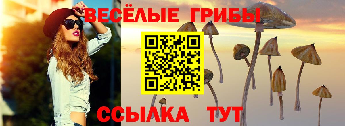 Галлюциногенные грибы мицелий Красноармейск